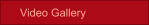 Video Gallery
