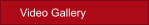 Video Gallery